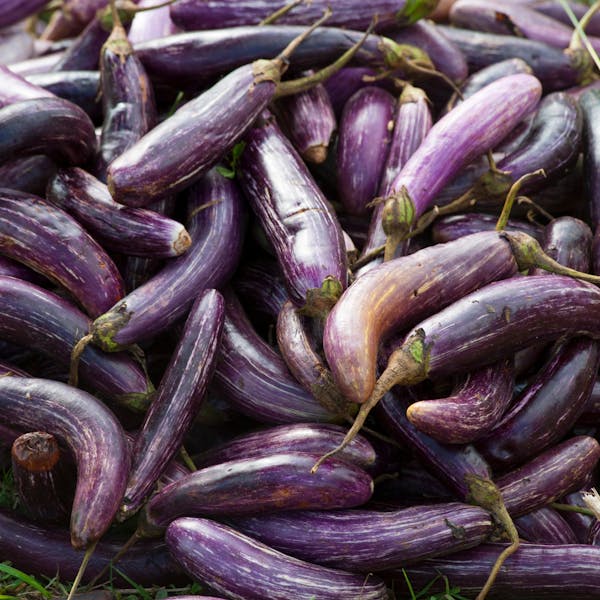 Aubergines
