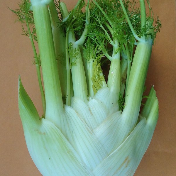 Venkel