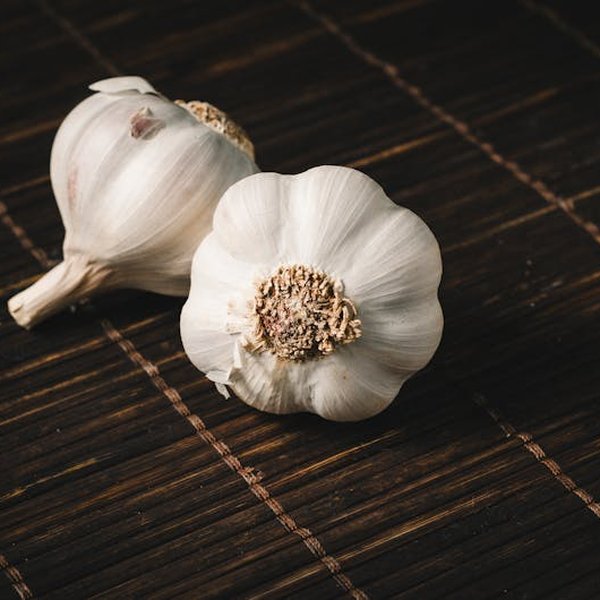 Knoflook