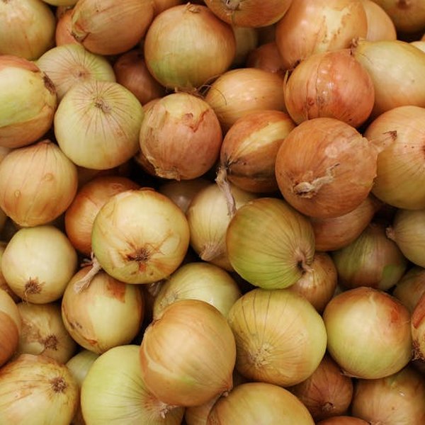 Uien