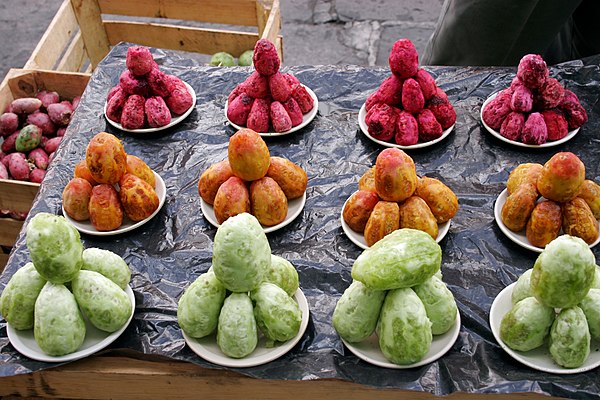 Cactusvijgen