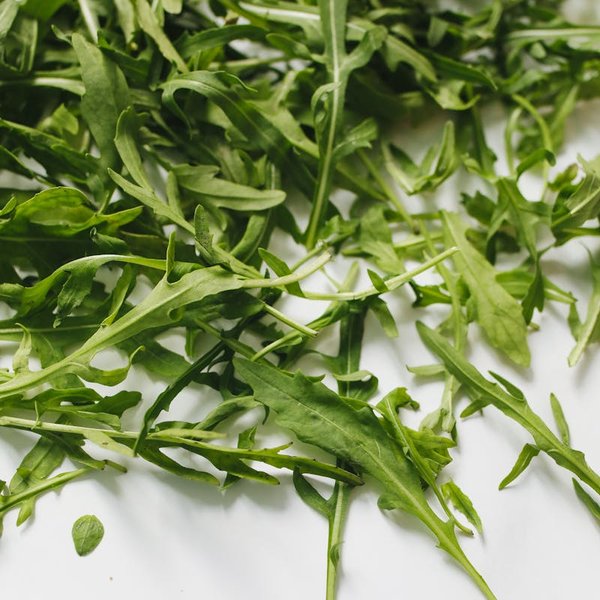 Rucola
